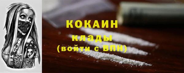 дживик Абаза