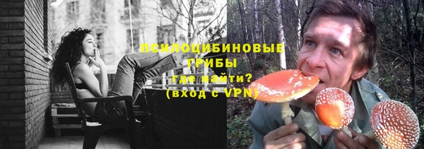 дживик Абаза