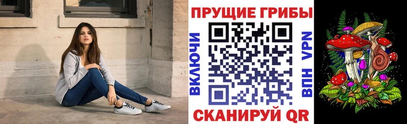 Псилоцибиновые грибы Psilocybe  Зерноград 